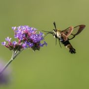 A7301783-Edit