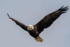 A7303054-Edit