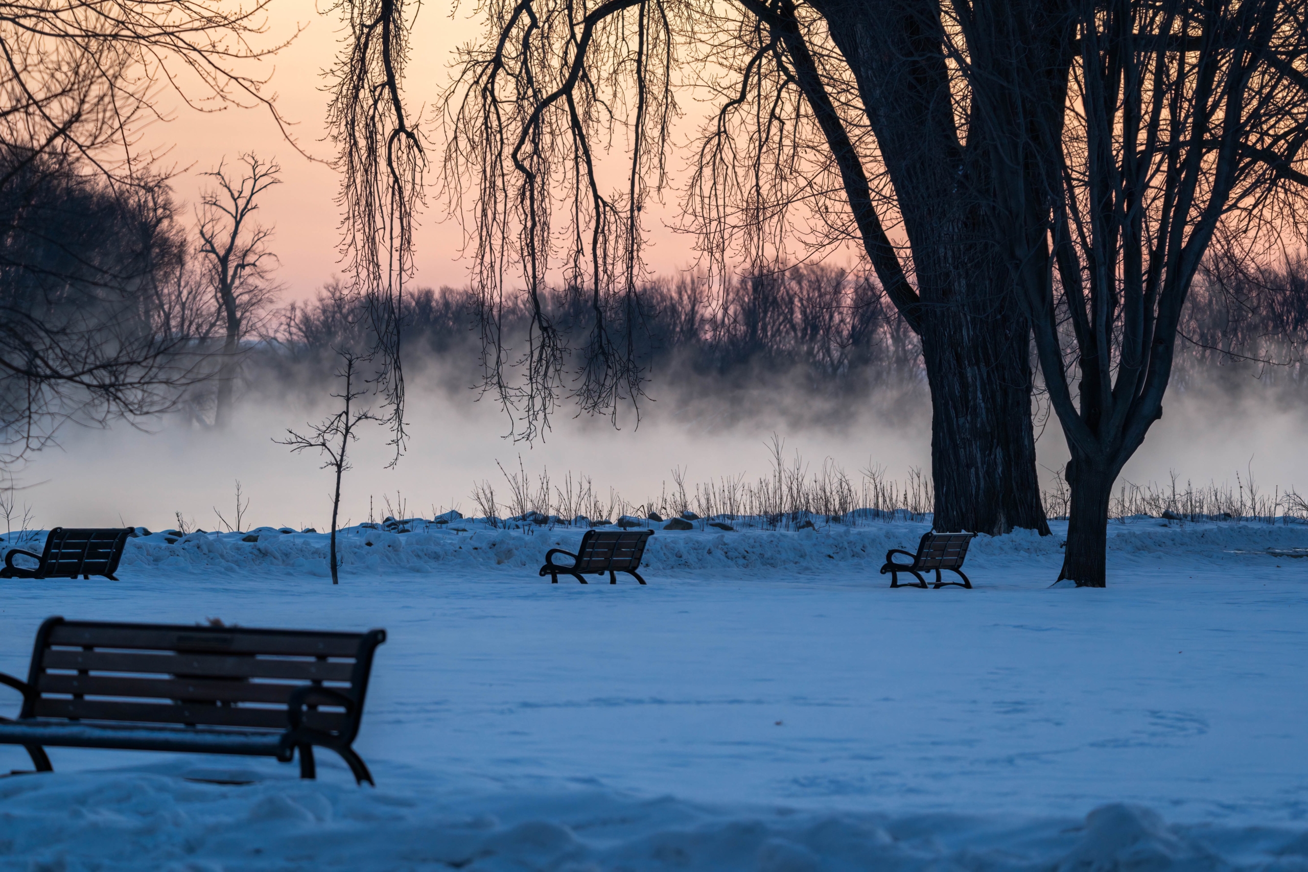 Subzero Temperatures and More Eagle Activity