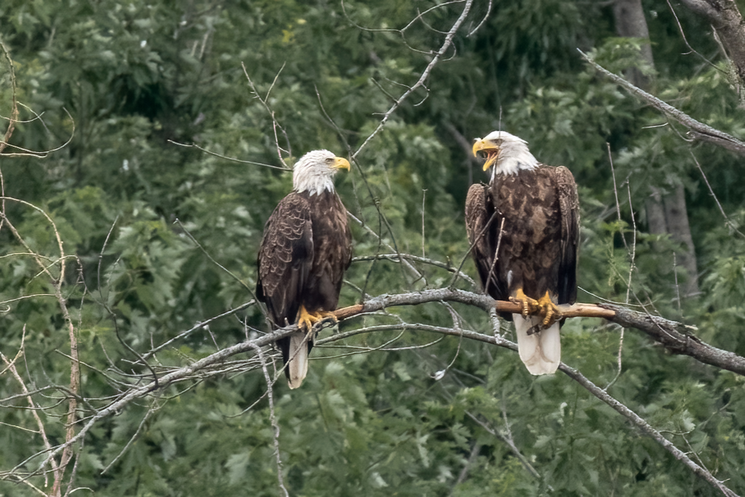 Empty Nesters at Bay Point Park