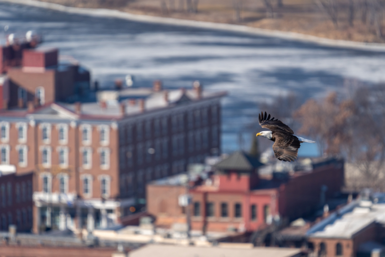 Warm temps melting river ice