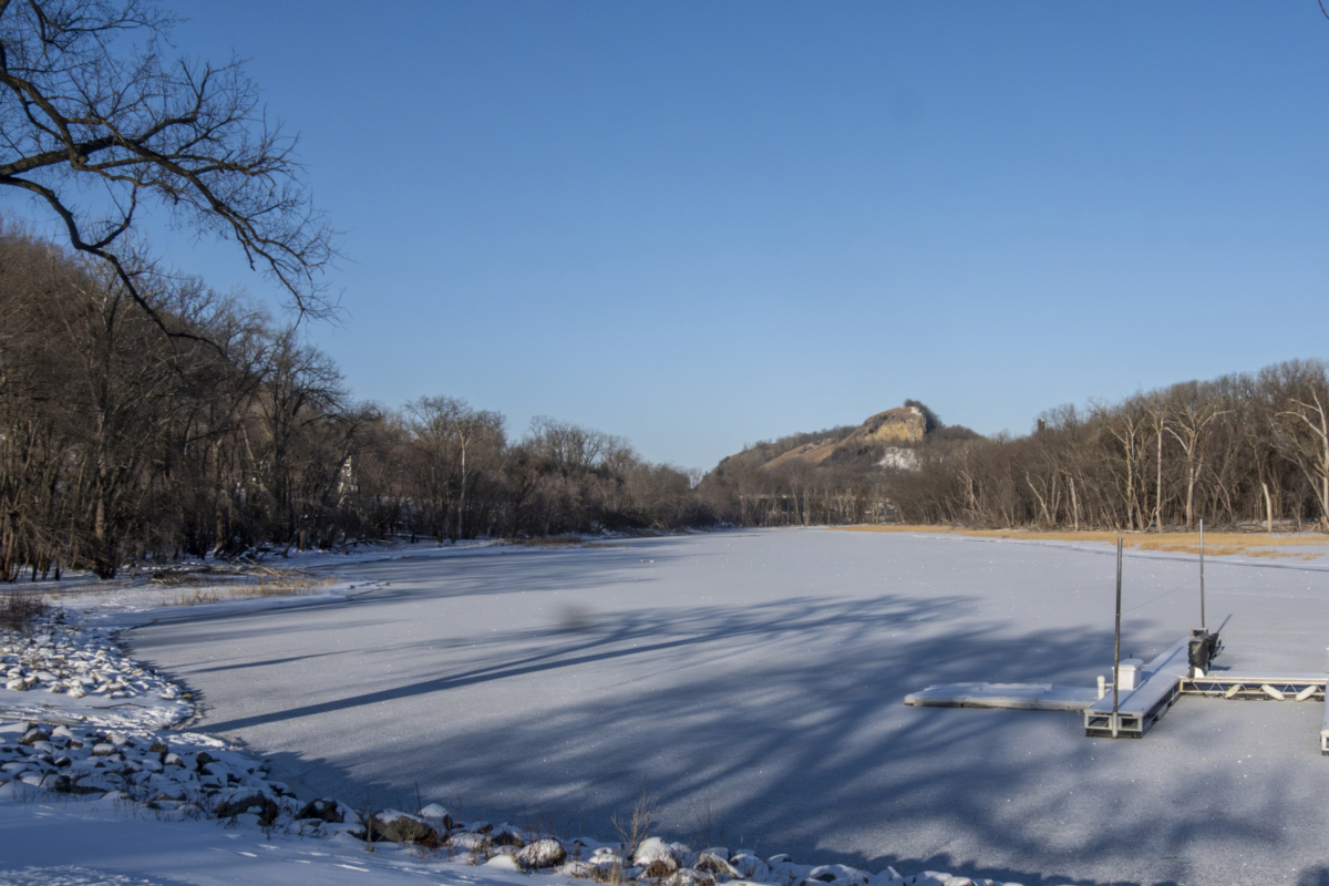 Colvill Park bay is frozen, a few eagles remain